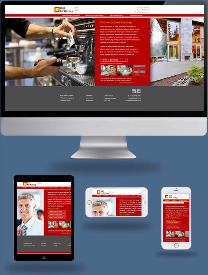 Bill McKelvey Estate Agents - Truska Web Site Design